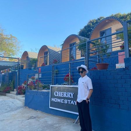 Cherry Homestay Bungalow Vung Tau Eksteriør bilde