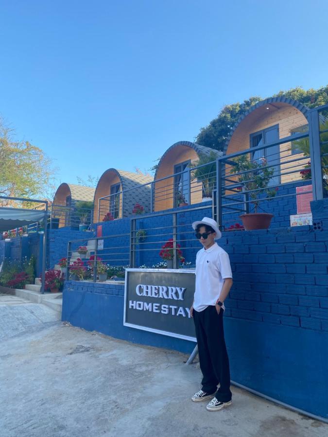 Cherry Homestay Bungalow Vung Tau Eksteriør bilde
