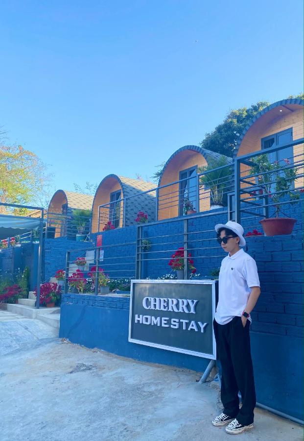 Cherry Homestay Bungalow Vung Tau Eksteriør bilde